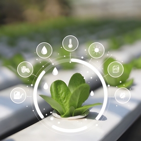 از داده تا عمل: نقشه راه ۴ مرحله‌ای برای پیاده‌سازی بازاریابی داده‌محور